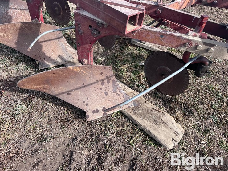 international-540-image-19