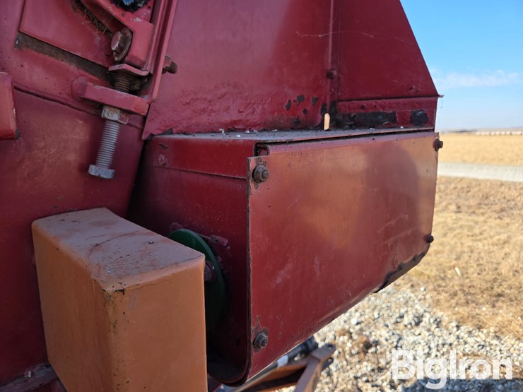 kelly-ryan-4x10-image-16