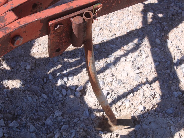 international-5-image-19