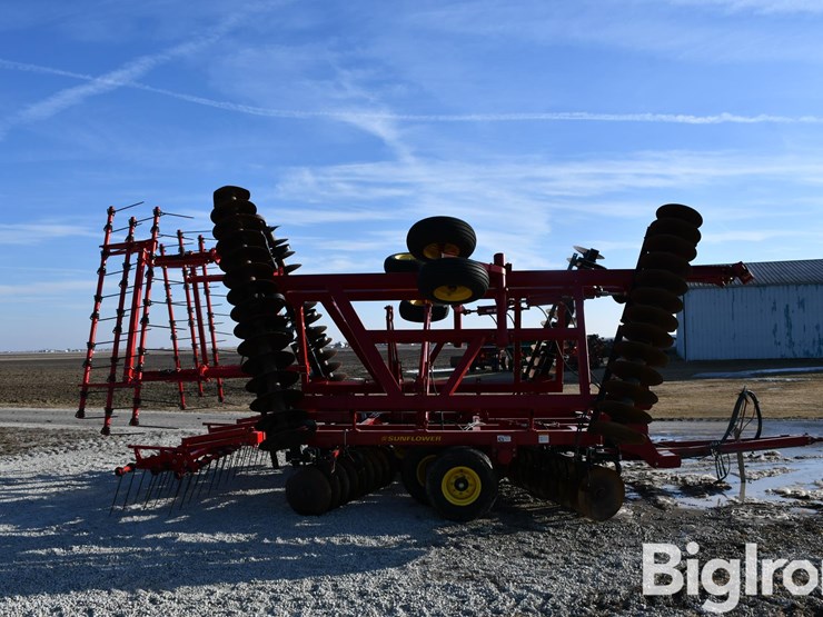 sunflower-1434-33-image-4