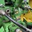 john-deere-hx15-image-12