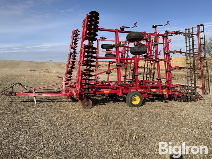 2011-sunflower-6333-image-1