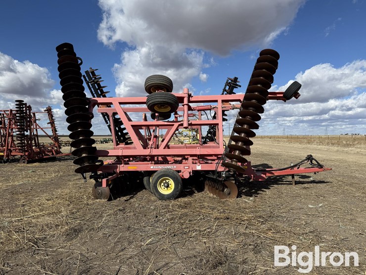 sunflower-1434-36-image-4