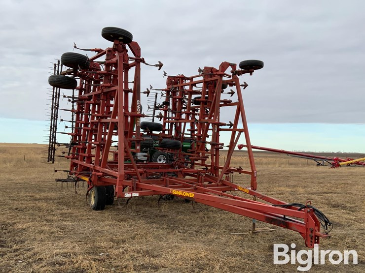 sunflower-5652-image-3