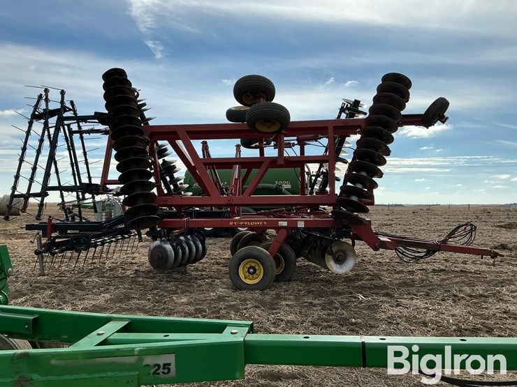 sunflower-1434-29-image-4