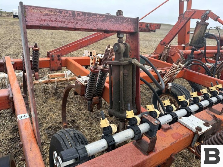 international-55-image-11