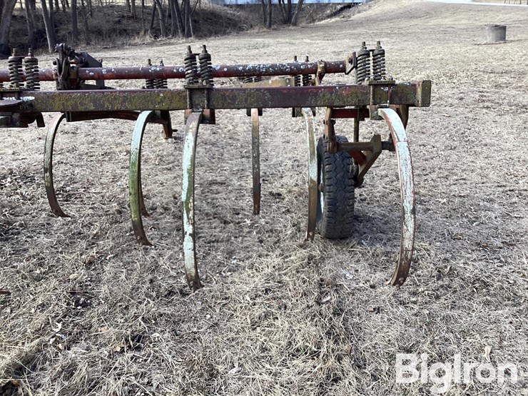 international-13-image-18