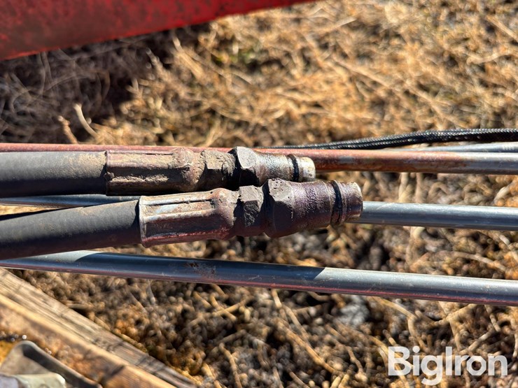 wil-rich-quad-5-image-18