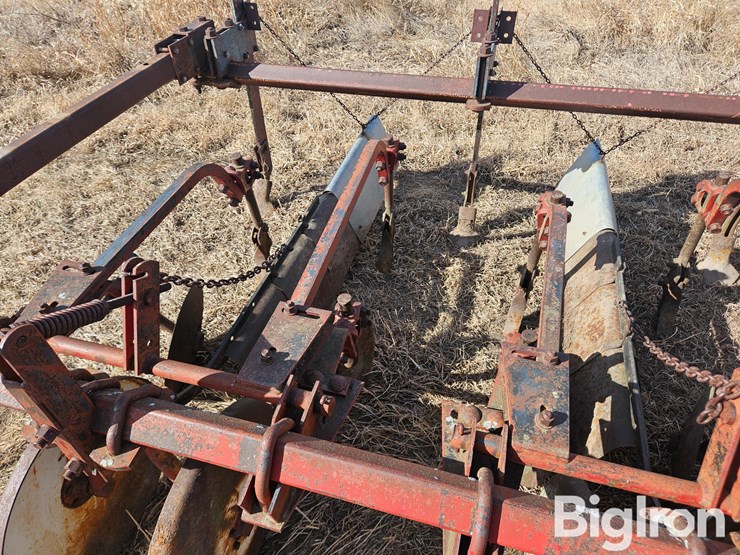 international-470-image-18