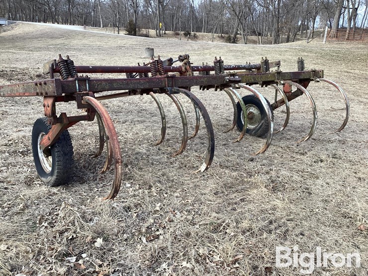 international-13-image-16