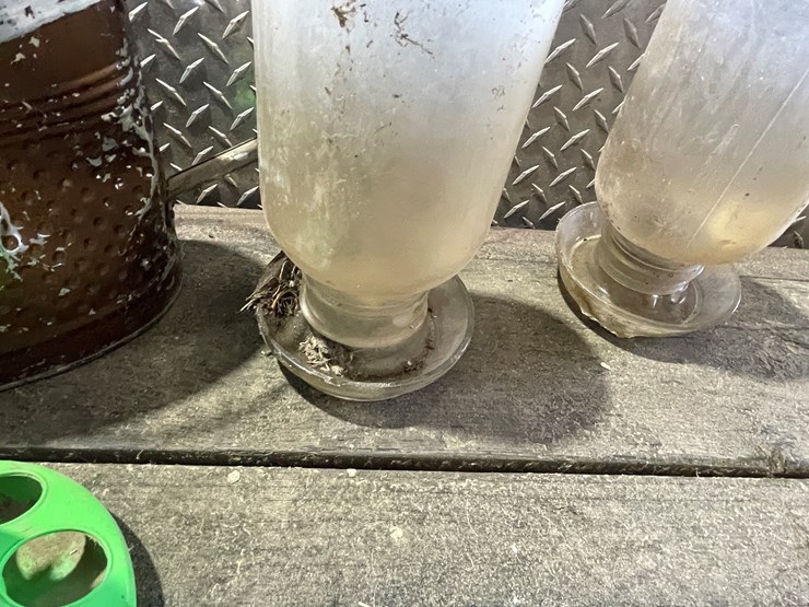 #7229-•-(2)-glass-chicken-waters-image-12