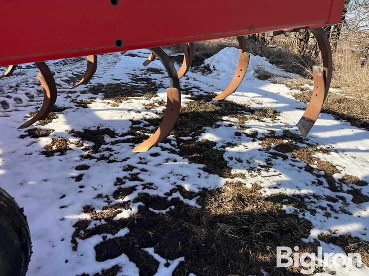 sunflower-4212-14-image-9