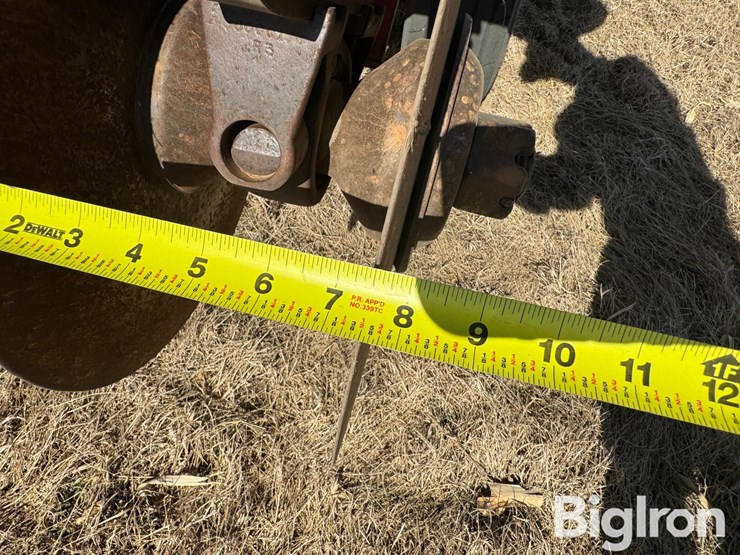 sunflower-4232-image-19