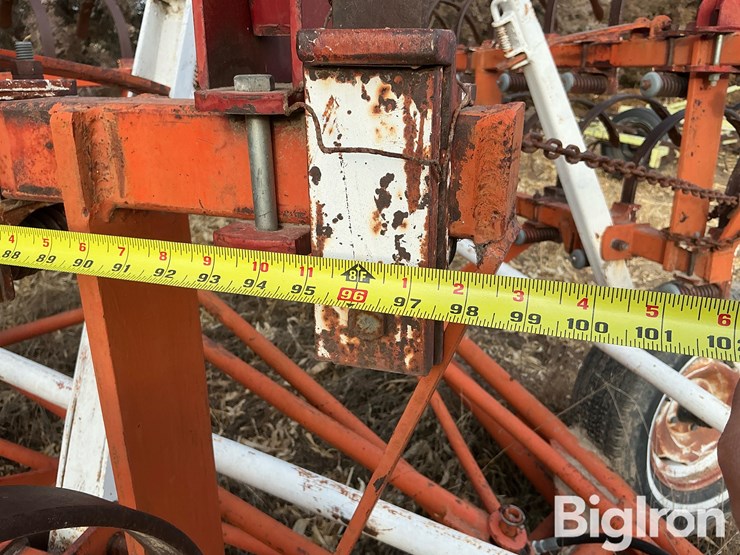 international-3-image-10