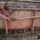 machine-shop-inc-180-manure-spreader-image-20