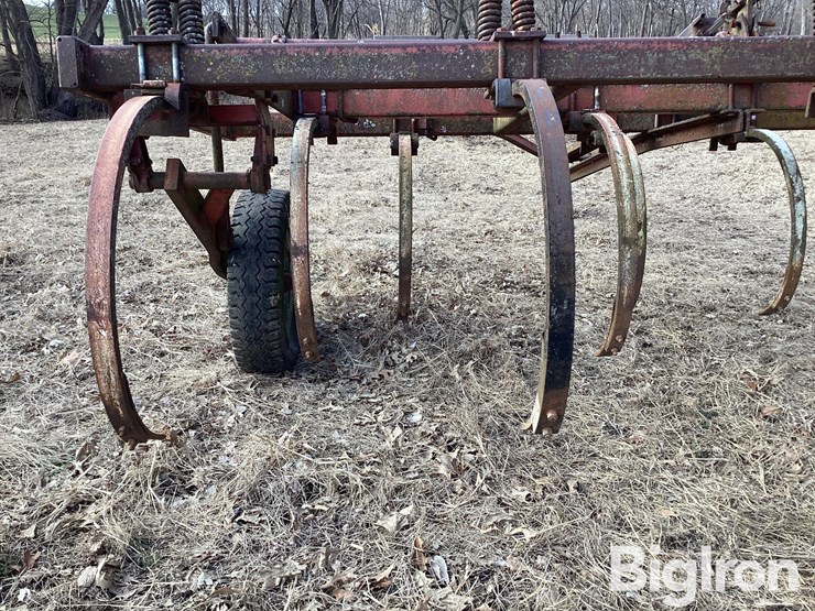 international-13-image-19