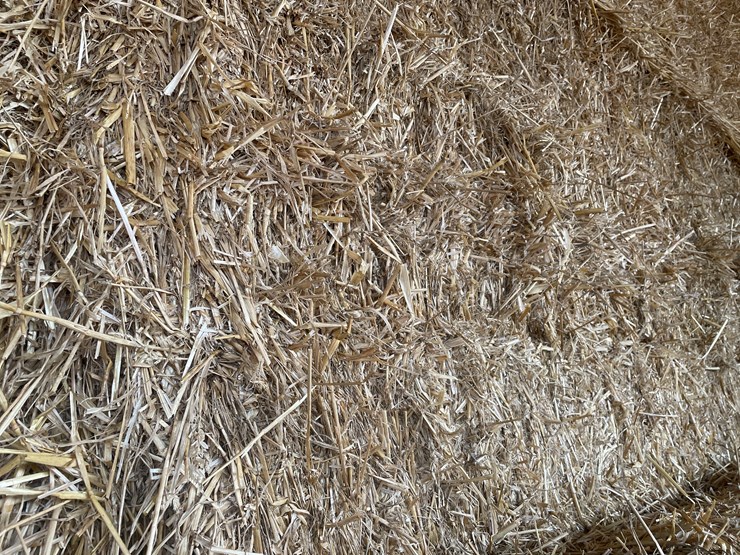 #7417-•-(30)-big-square-bales-of-wheat-straw-(rice-lake,-wi)-image-7