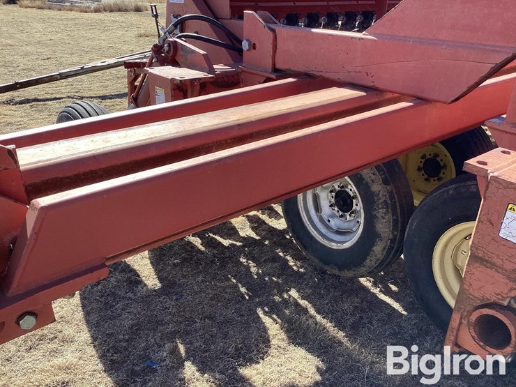 sunflower-9432-40-image-9