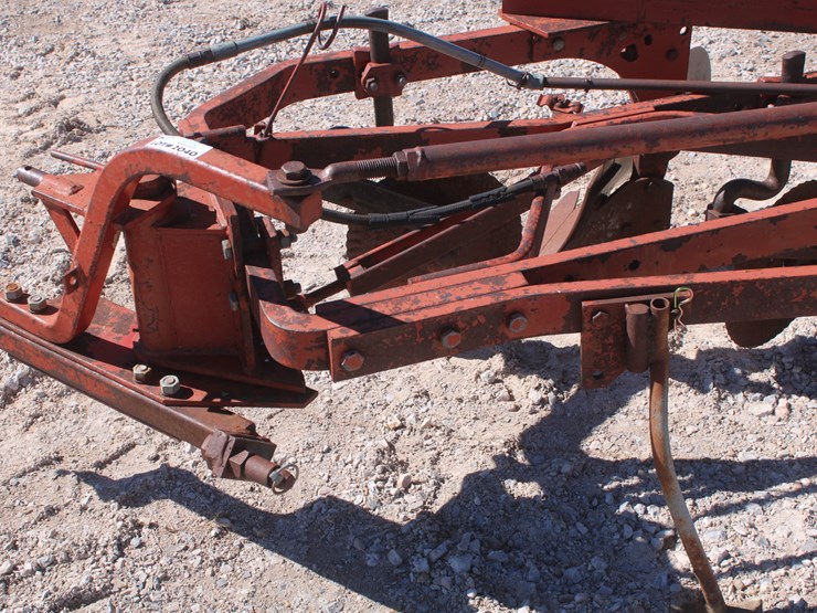 international-5-image-9