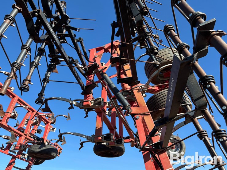 wil-rich-quad-5-image-13