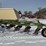 john-deere-4-bottom-plow---addy,-wa-image-3