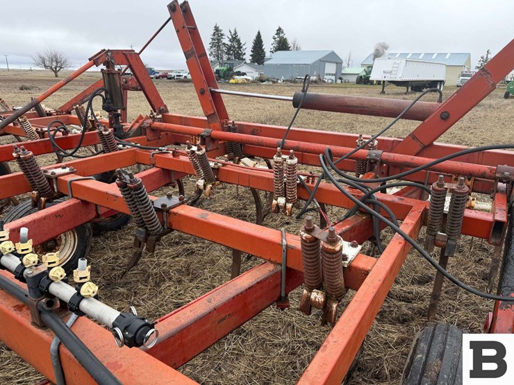 international-55-image-17