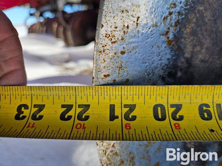 sunflower-1435-image-20