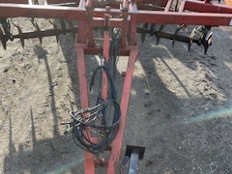 sunflower-4411-image-4