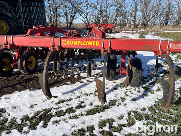 sunflower-4211-14-image-18