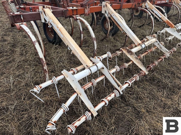 international-55-image-20