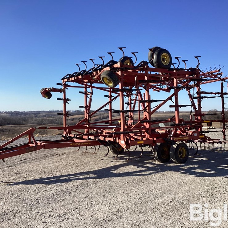 SUNFLOWER 5135-42