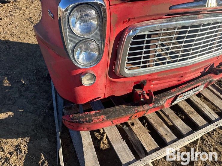 international-b-image-13