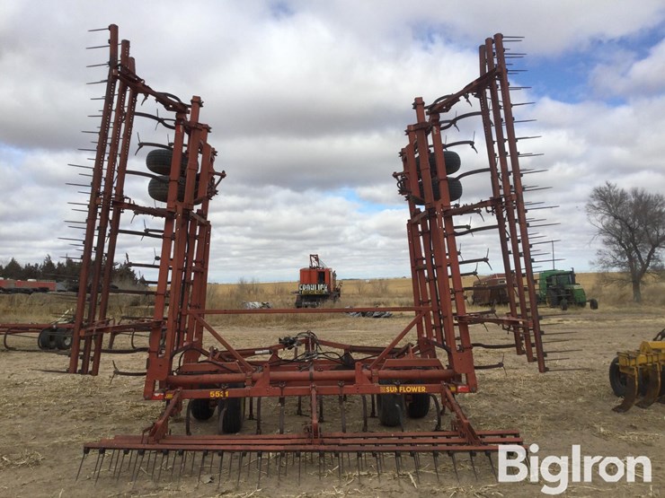 sunflower-5531-image-6