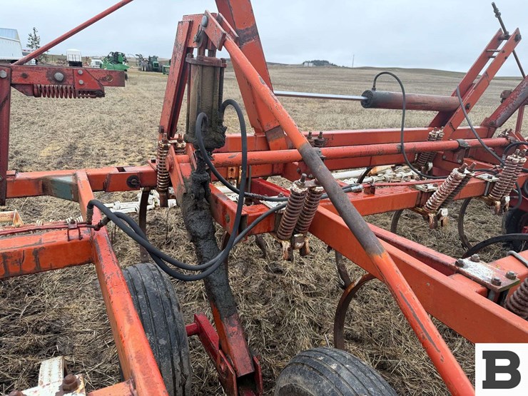 international-55-image-13