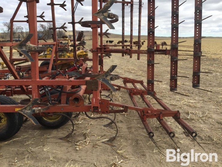 sunflower-5531-image-19