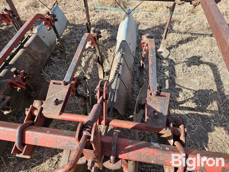 international-470-image-12