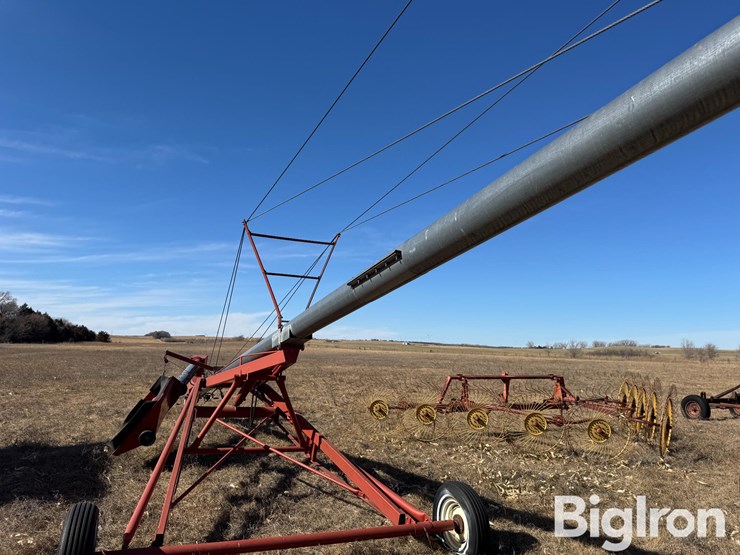 hutchinson-8x61-image-20