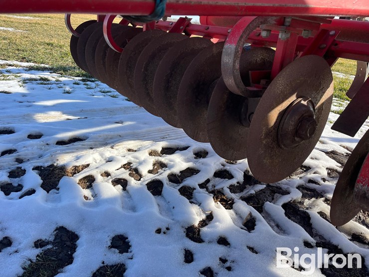 sunflower-4211-14-image-12