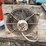 #7260-•-butler-grain-dryer-fan-image-12