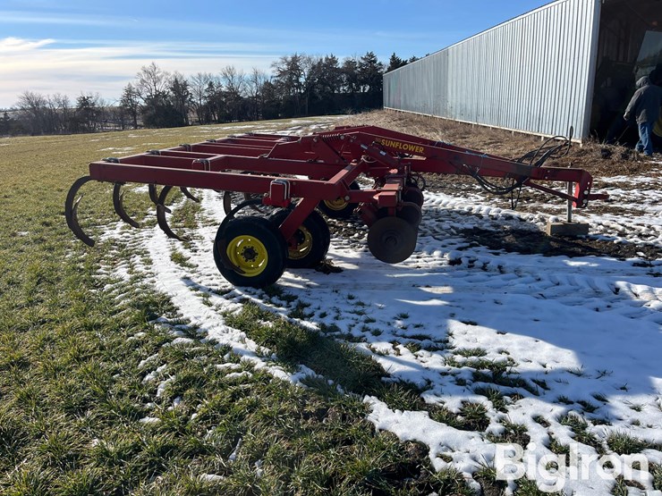 sunflower-4211-14-image-4