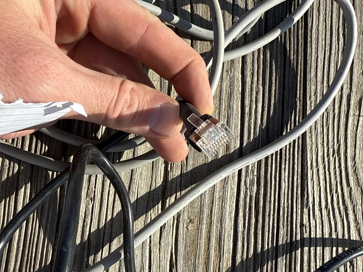 raven-viper-image-17