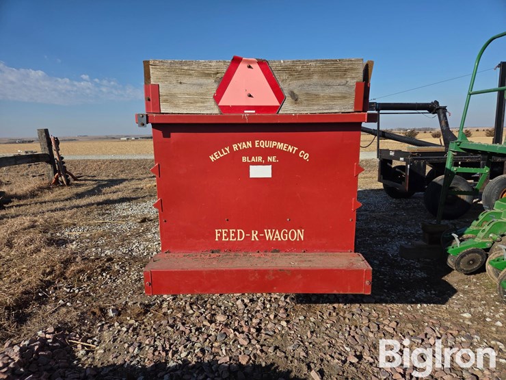 kelly-ryan-4x10-image-6