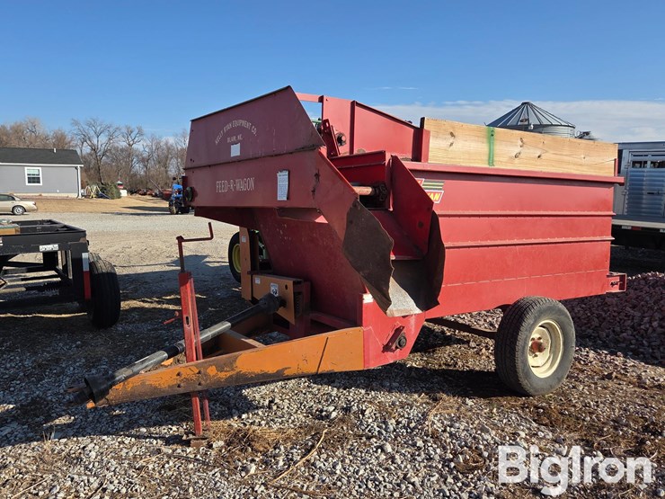 kelly-ryan-4x10-image-1