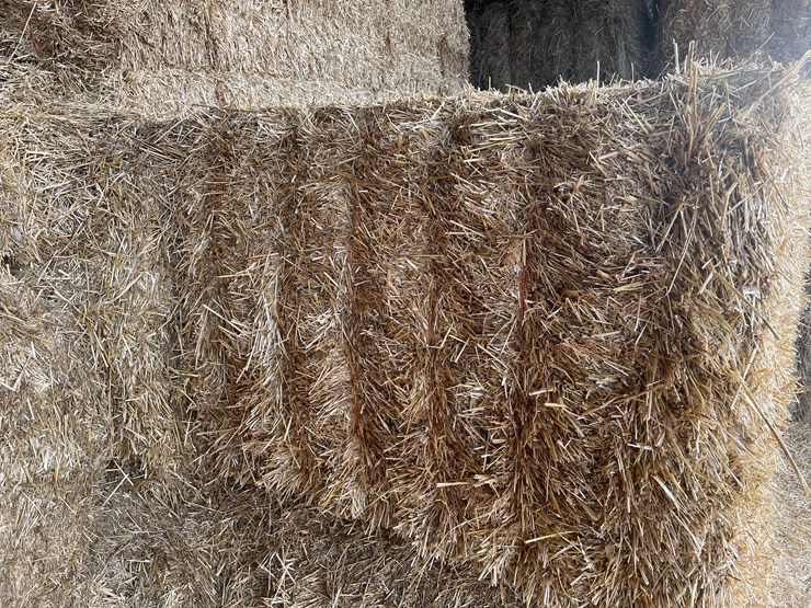 #7417-•-(30)-big-square-bales-of-wheat-straw-(rice-lake,-wi)-image-4