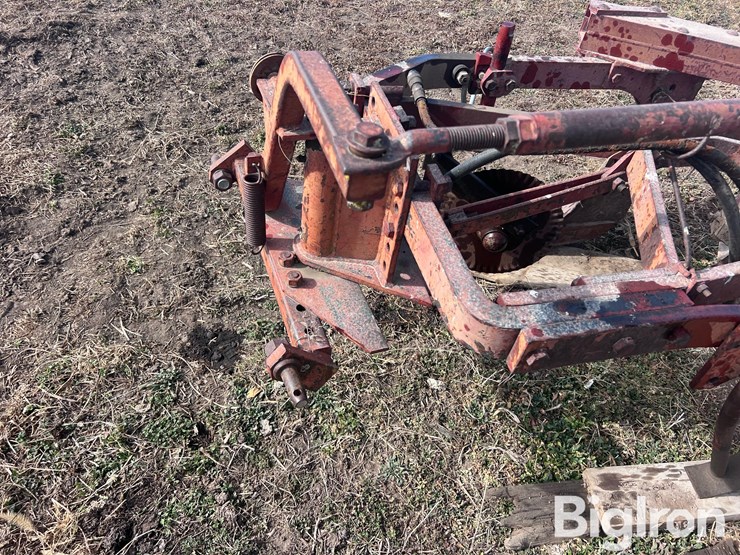 international-540-image-15