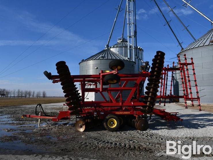 sunflower-1434-33-image-8