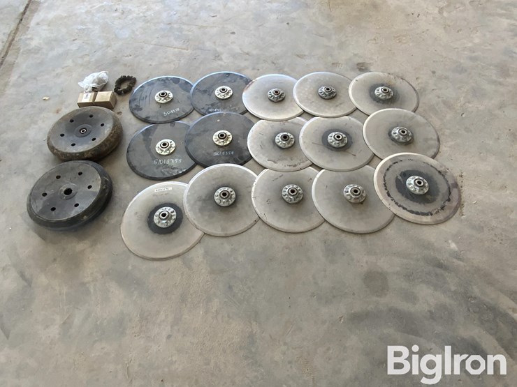 sunflower-9435-image-8