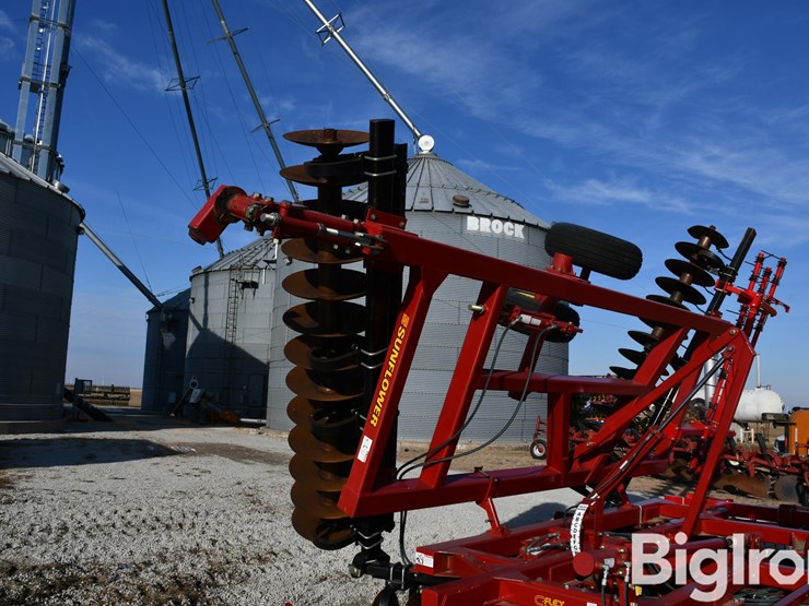 sunflower-1434-33-image-11