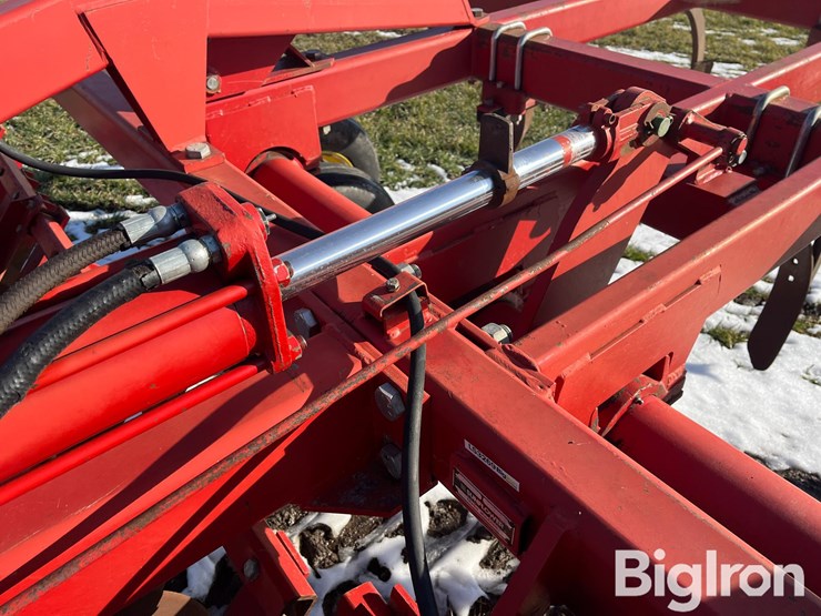 sunflower-4211-14-image-13