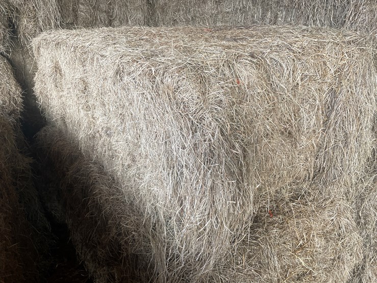 #7415-•-(30)-big-square-bales-of-beef-hay-(rice-lake,-wi)-image-1